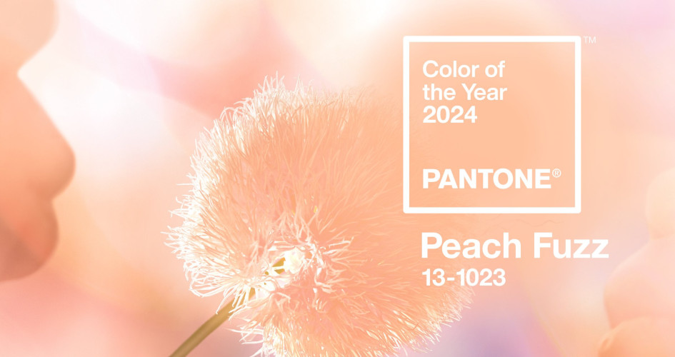 Peach Fuzz được Pantone chọn là màu sắc của năm 2024