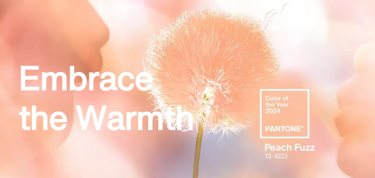 Peach Fuzz được Pantone lựa chọn là màu sắc của năm 2024. Ảnh: Pantone